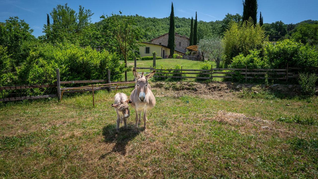 Agriturismo I Pietrini Perugia Luaran gambar
